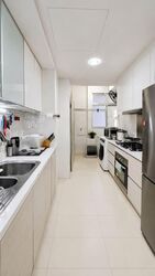 Oasis @ Elias (D18), Condominium #572066041